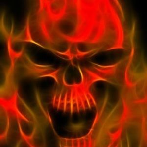 Meet your Posher, Max